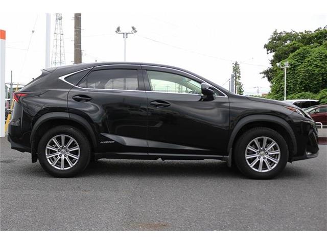 Lexus NX 11