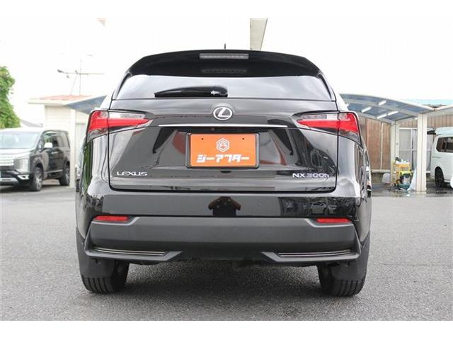 Lexus NX 10