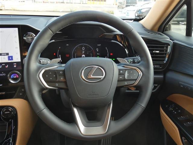 Lexus NX 12