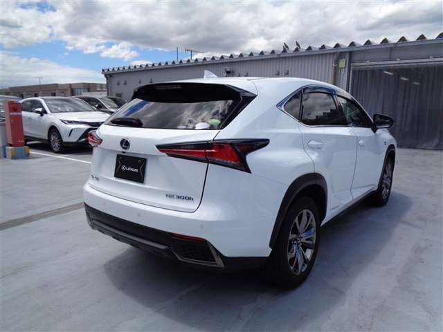 Lexus NX 11