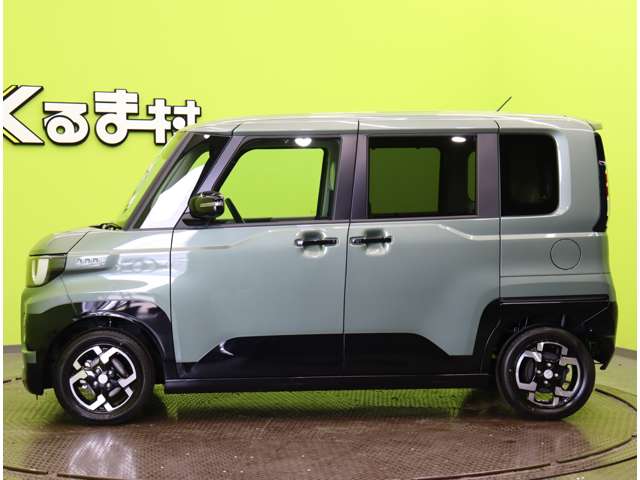 Mitsubishi Delica Mini 11
