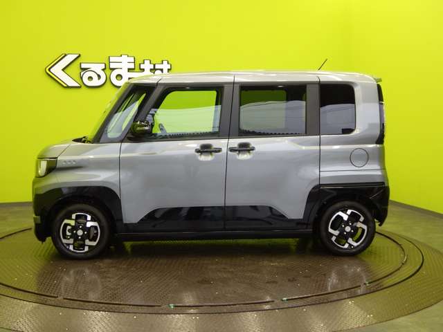 Mitsubishi Delica Mini 11