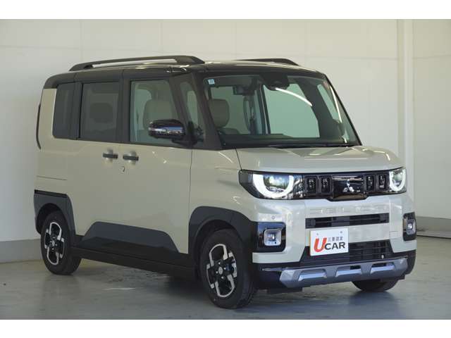 Mitsubishi Delica Mini 5