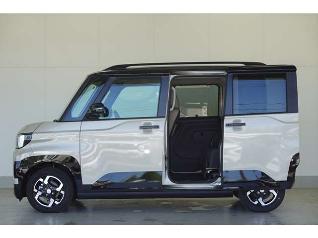 Mitsubishi Delica Mini 6