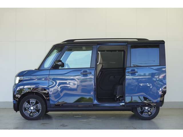 Mitsubishi Delica Mini 6