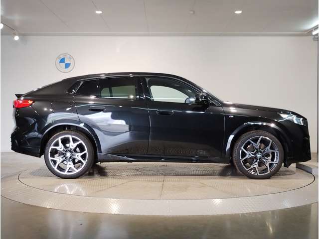 BMW X2 10