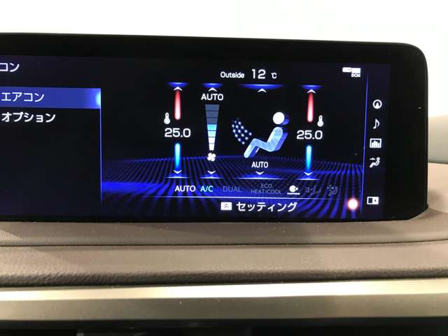 Lexus RX 9
