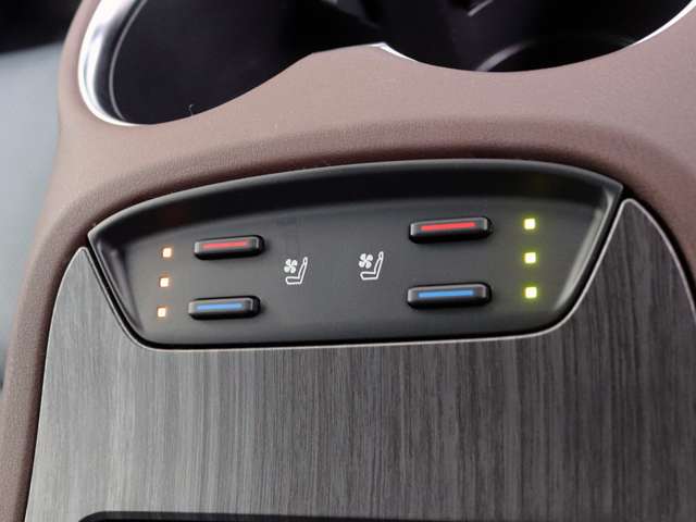 Toyota Harrier 9