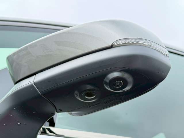 Toyota Vellfire 9