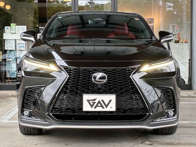 Lexus NX 6