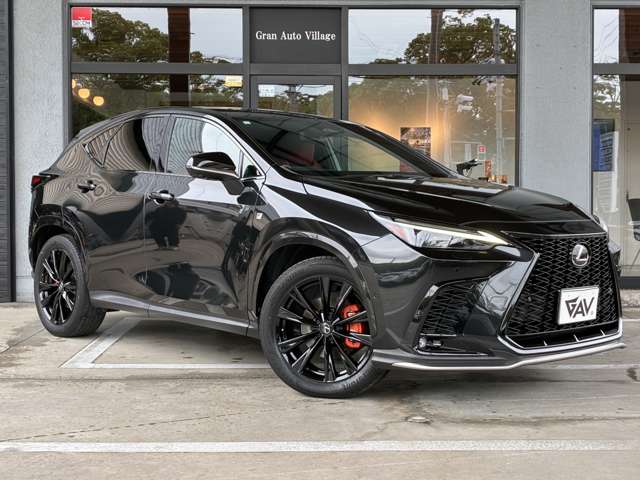 Lexus NX 7