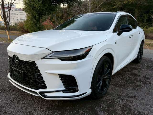 Lexus RX 11