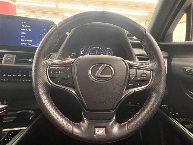 Lexus UX 11