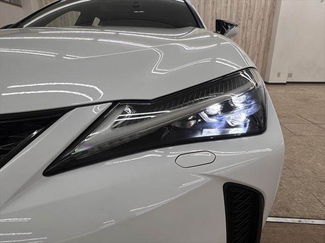 Lexus UX 12