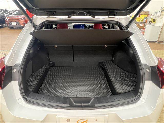 Lexus UX 10