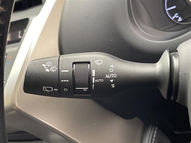 Lexus NX 12