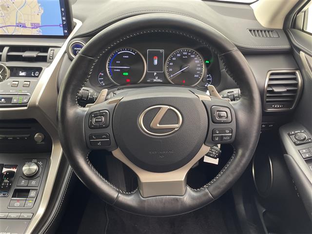 Lexus NX 10