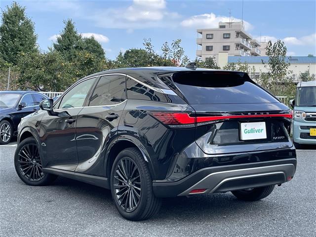 Lexus RX 11