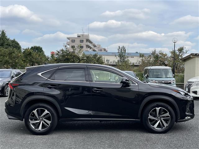 Lexus NX 11