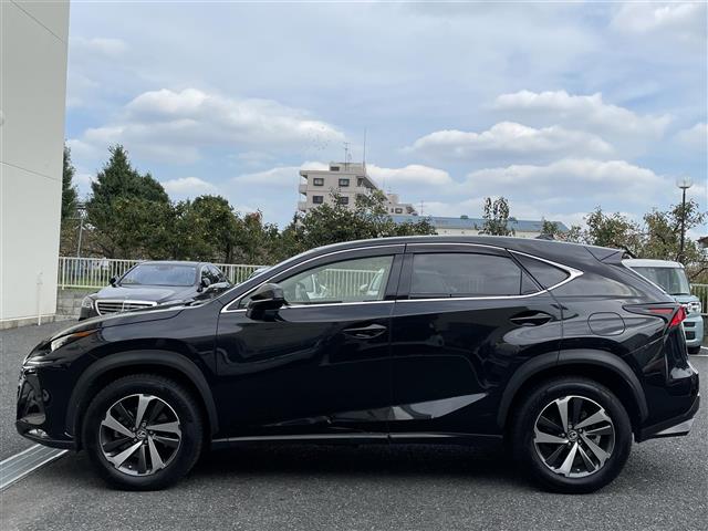 Lexus NX 7