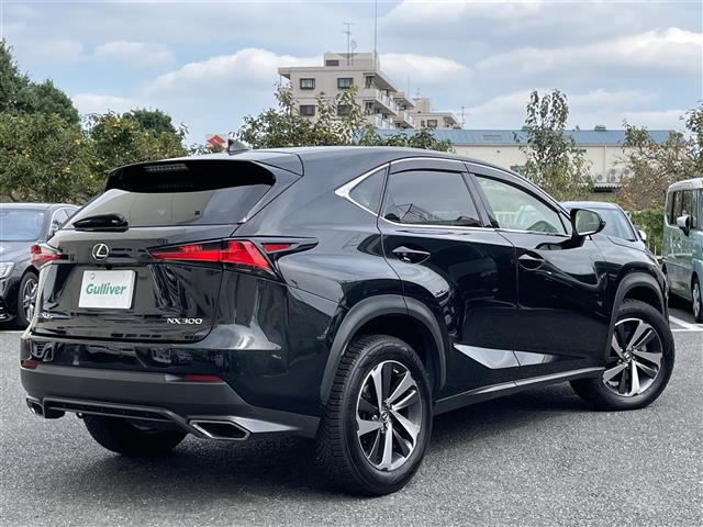 Lexus NX 10