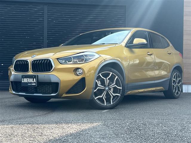 BMW X2 6