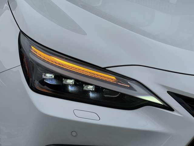 Lexus NX 10