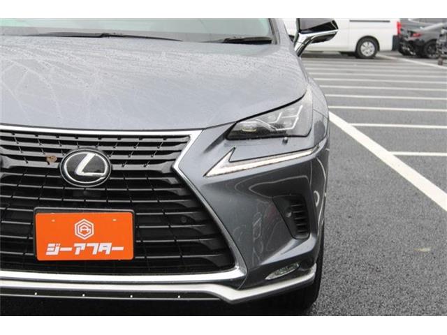 Lexus NX 11
