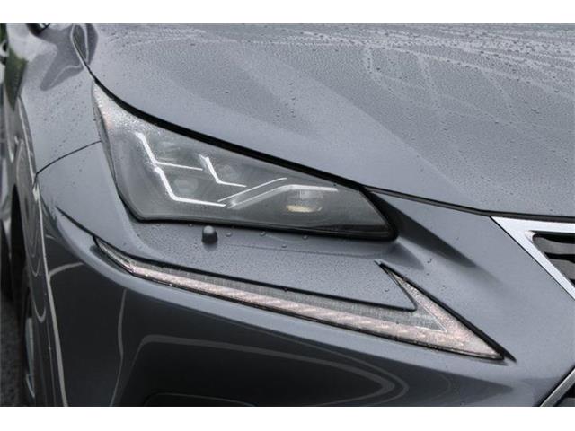 Lexus NX 12