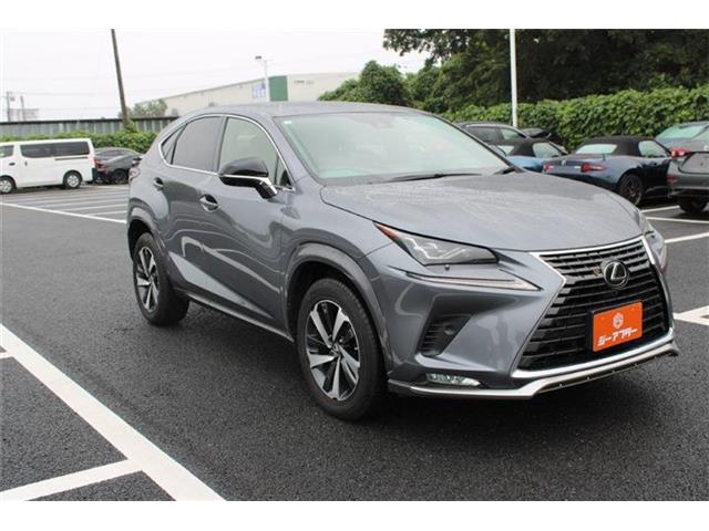 Lexus NX 8