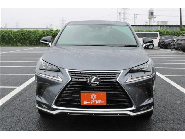 Lexus NX 9