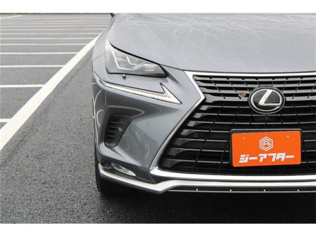 Lexus NX 10