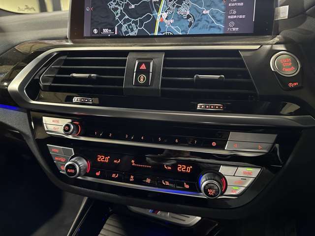 BMW X3 10