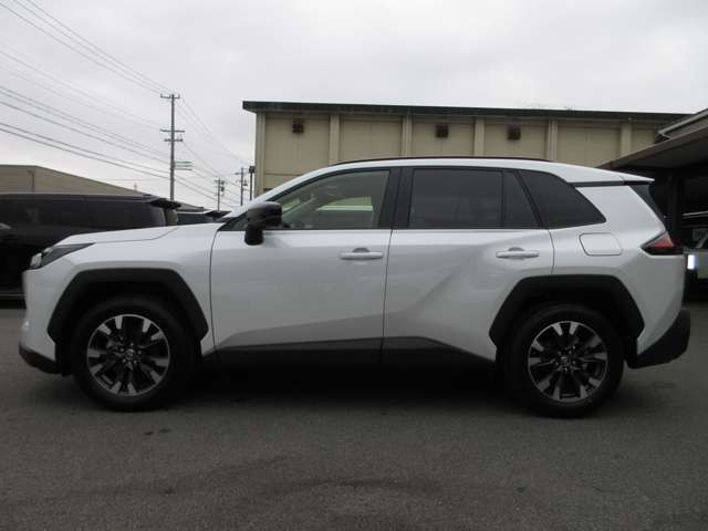 Toyota RAV4 10