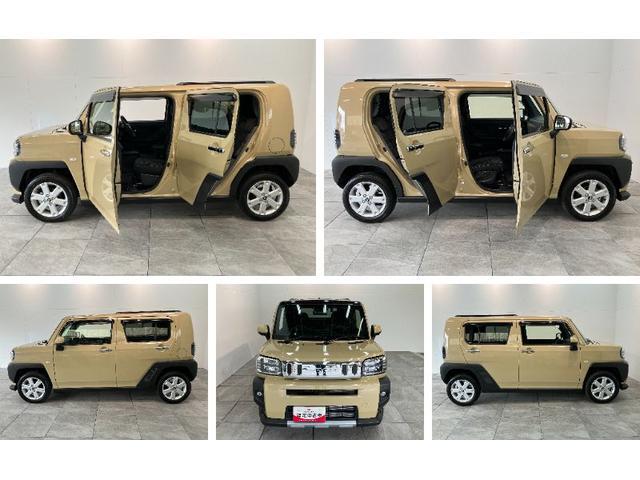 Daihatsu Taft 8