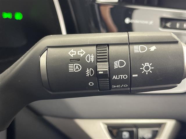 Lexus RX 12