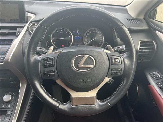 Lexus NX 13