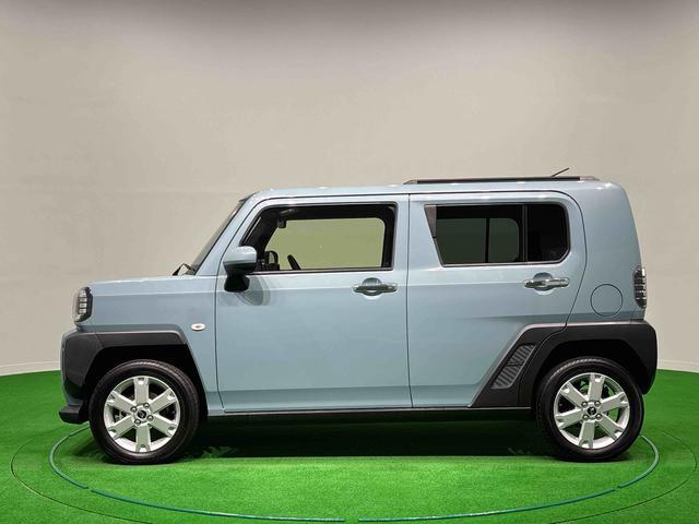 Daihatsu Taft 11
