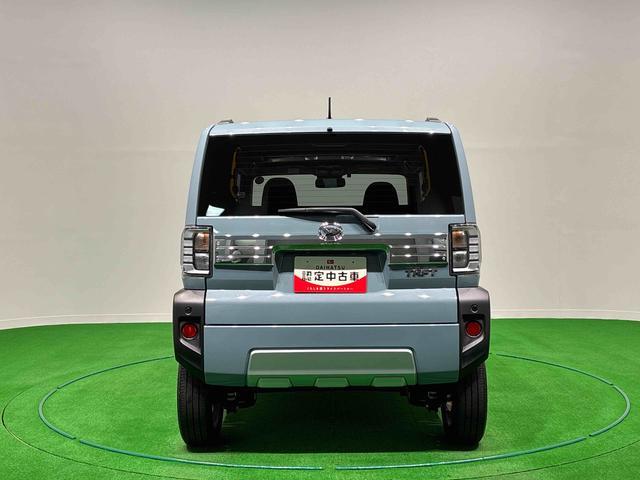 Daihatsu Taft 12