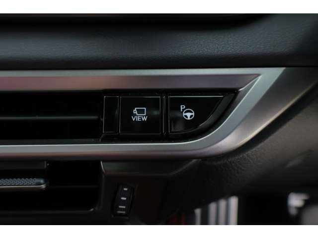 Lexus RX 11