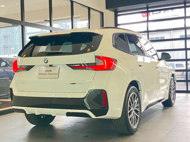 BMW X1 11