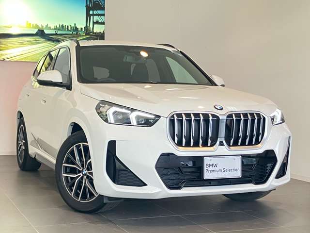 BMW X1 9