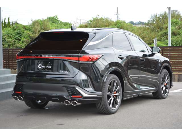 Lexus RX 11