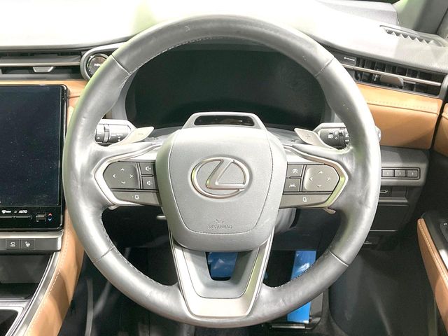Lexus LBX 12