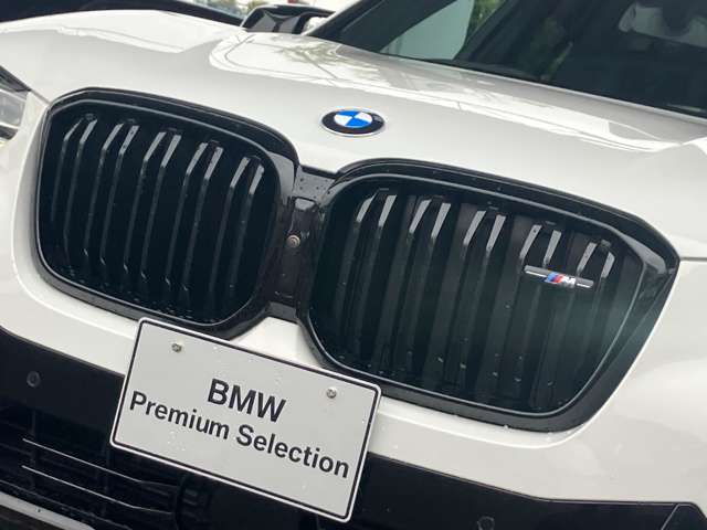 BMW X3 10