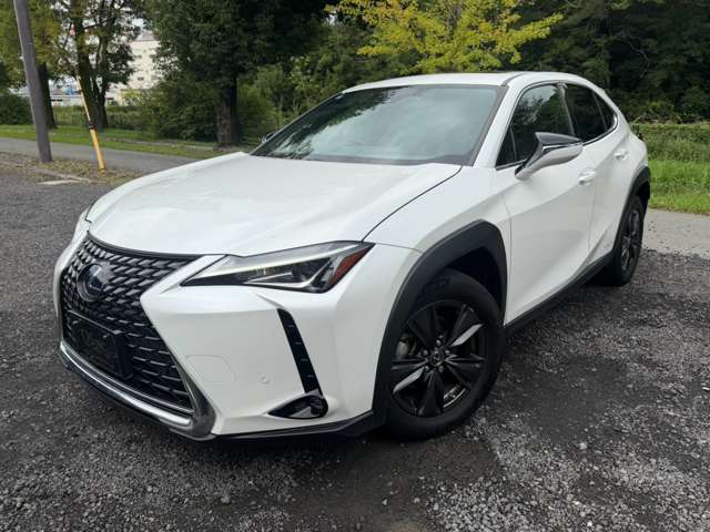 Lexus UX 9