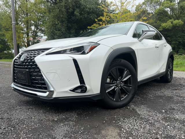 Lexus UX 10