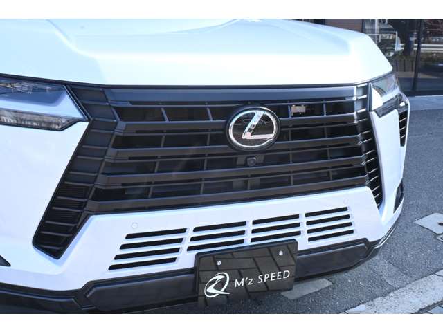Lexus GX 11