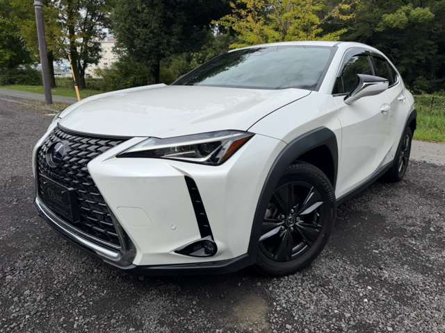 Lexus UX 9