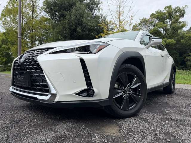 Lexus UX 10